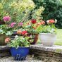 Feather Lightweight Planter Collection in 4 Colours