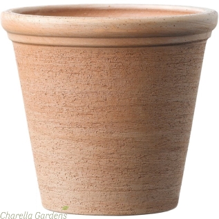 Etrusco Premium Galestro Terracotta Pot 39cm (W) x 33cm (H)