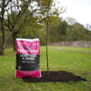 Melcourt Sylvagrow Rose Tree & Shrub Compost