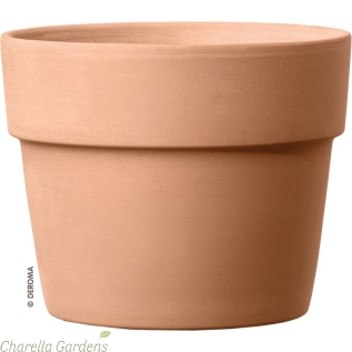 Traditional Italian Clay Pots in Two Colour Options