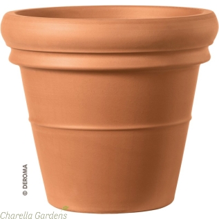 Tuscan Red Thick Rim Terracotta Pot - 3 Size Options