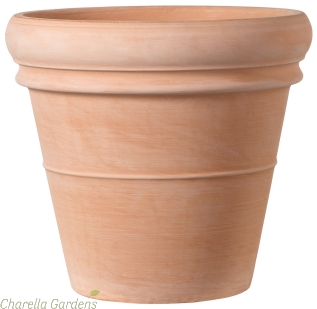 Tuscan White Thick Rim Terracotta Pot - 3 Size Options