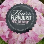 Hydrangea Flair and Flavours Pink Lollipop April 2016