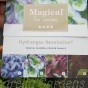 Magical Hydrangea Plants Hydrangea Magical Revolution Blue 5 Litre 
