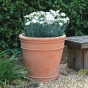 Maddison Frost Proof Terracotta Pots - Upto 5 Size Options