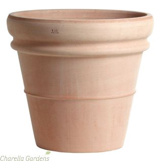 Large Tuscan Terracotta Pots by Charellagardens