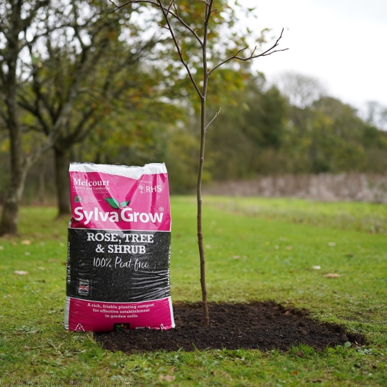 Melcourt Sylvagrow Rose Tree & Shrub Compost