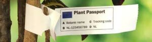 why our olive trees have passports